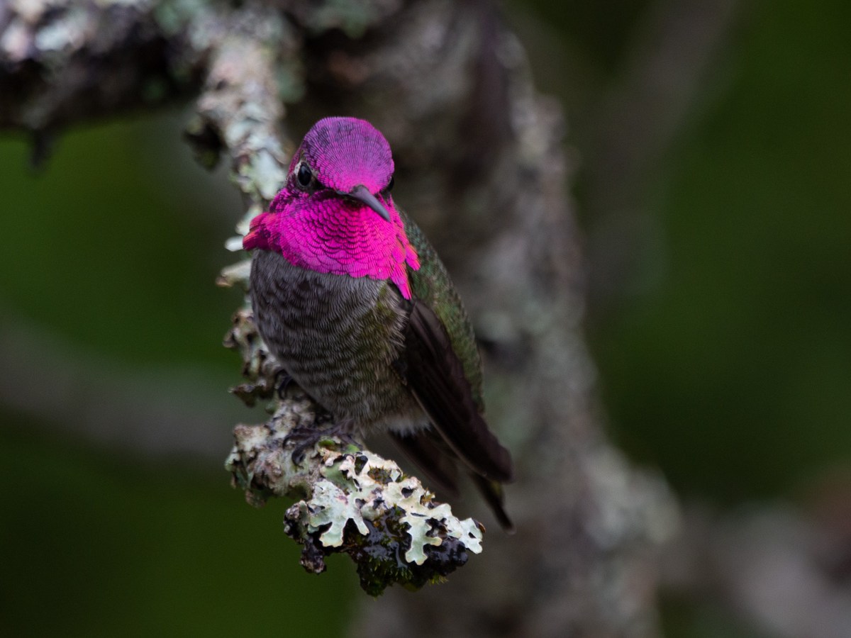 And here are the&nbsp;boys…