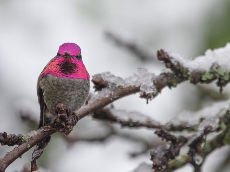 Baby it’s cold outside… first&nbsp;snow!