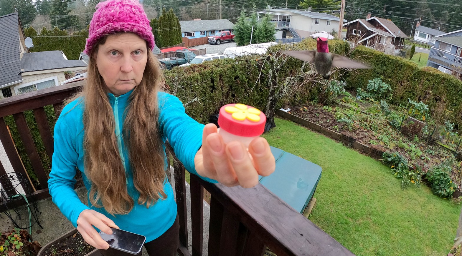 Anna's hummingbird eating from hand feeder
